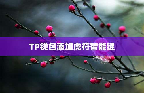 TP钱包添加虎符智能链