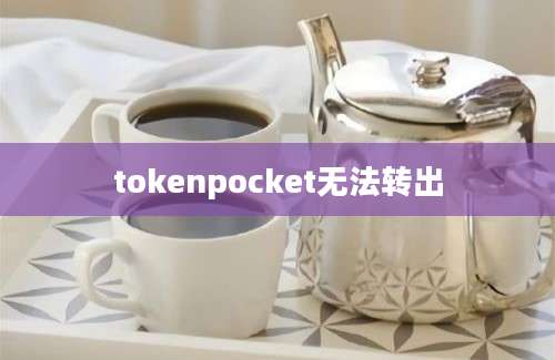 tokenpocket无法转出