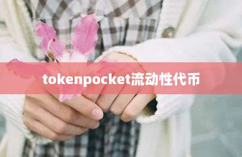 tokenpocket流动性代币