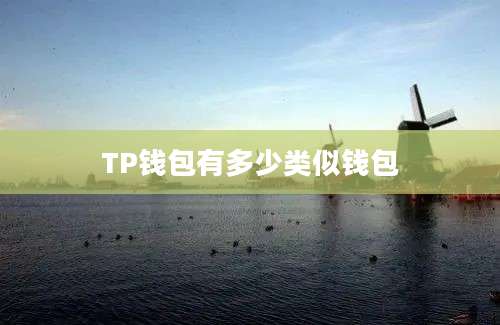 TP钱包有多少类似钱包