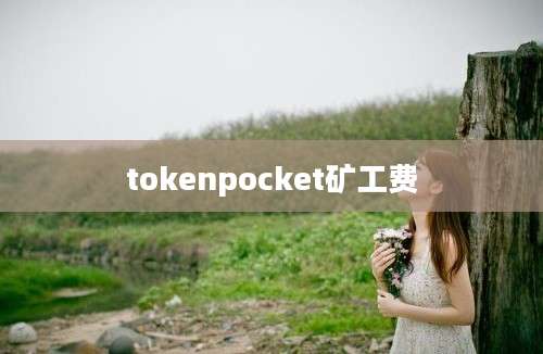 tokenpocket矿工费