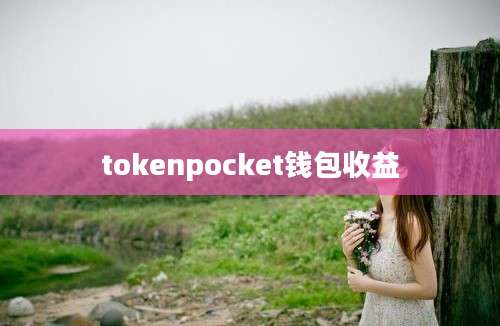 tokenpocket钱包收益