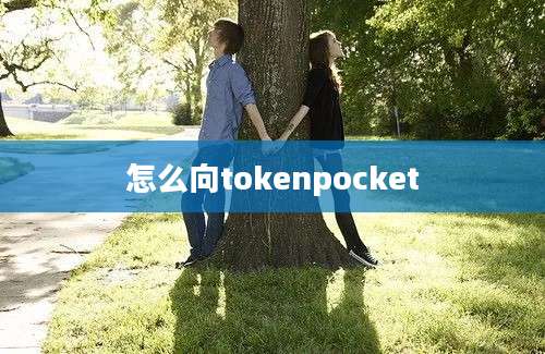 怎么向tokenpocket