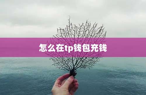 怎么在tp钱包充钱