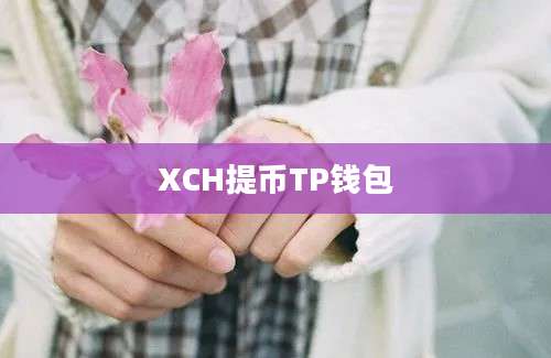 XCH提币TP钱包