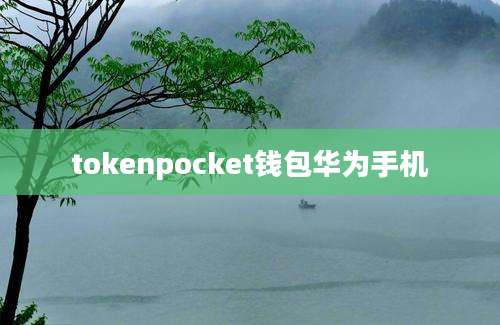 tokenpocket钱包华为手机