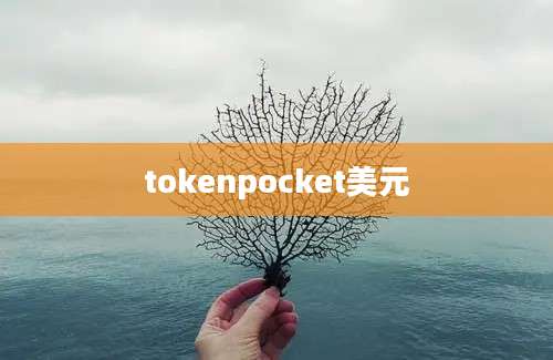 tokenpocket美元