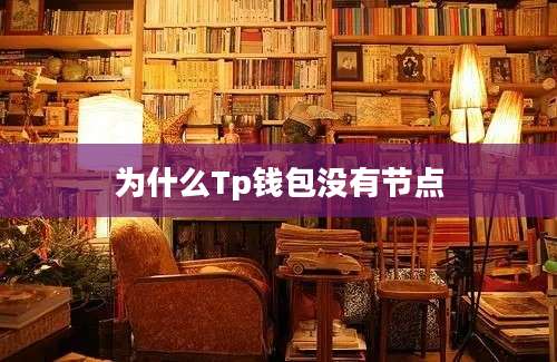 为什么Tp钱包没有节点