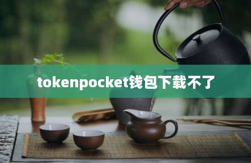 tokenpocket钱包下载不了