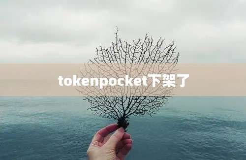 tokenpocket下架了