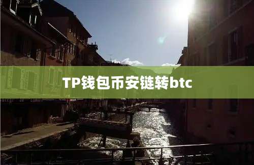 TP钱包币安链转btc