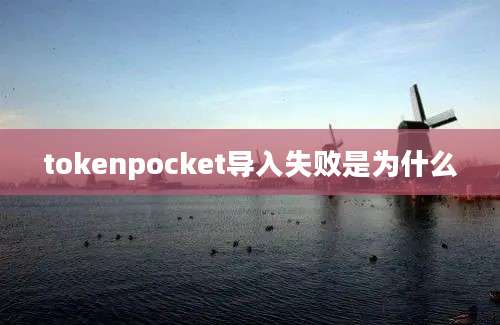 tokenpocket导入失败是为什么