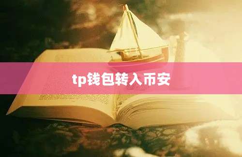 tp钱包转入币安