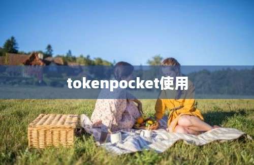 tokenpocket使用