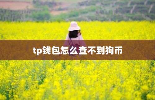 tp钱包怎么查不到狗币