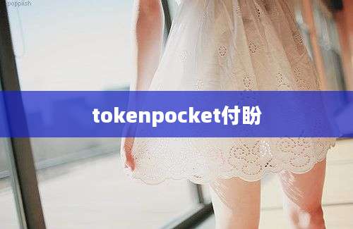 tokenpocket付盼