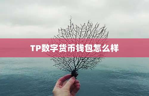 TP数字货币钱包怎么样