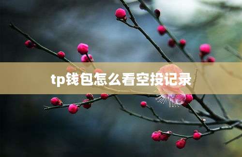 tp钱包怎么看空投记录