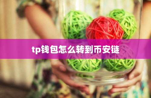 tp钱包怎么转到币安链