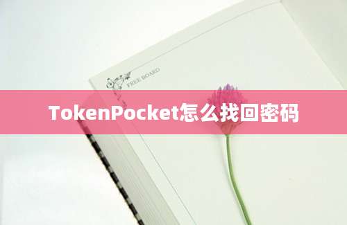 TokenPocket怎么找回密码