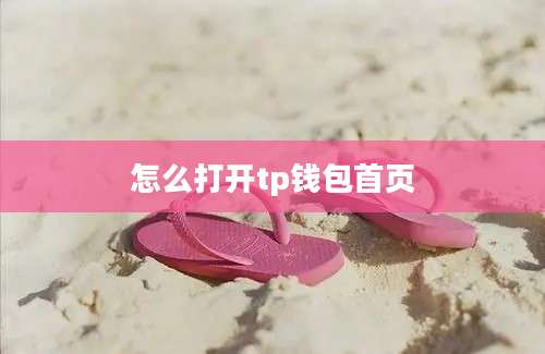 怎么打开tp钱包首页