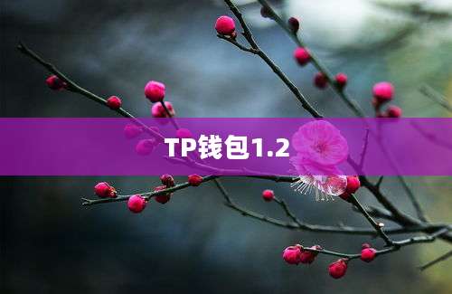 TP钱包1.2