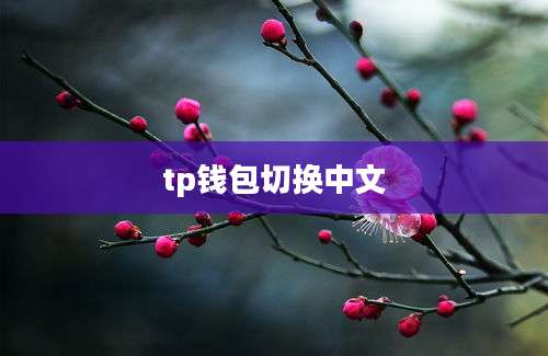 tp钱包切换中文