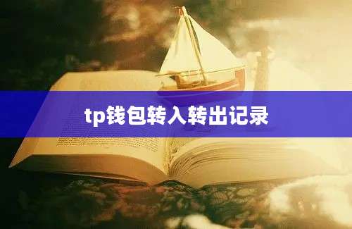 tp钱包转入转出记录