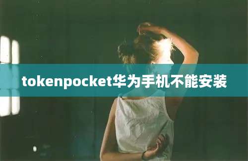 tokenpocket华为手机不能安装