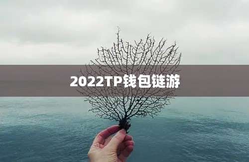 2022TP钱包链游