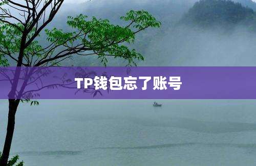 TP钱包忘了账号