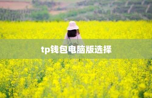 tp钱包电脑版选择