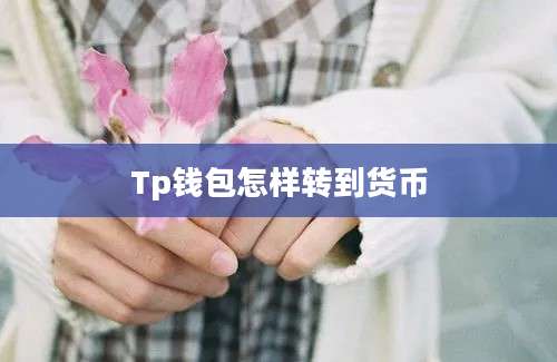 Tp钱包怎样转到货币