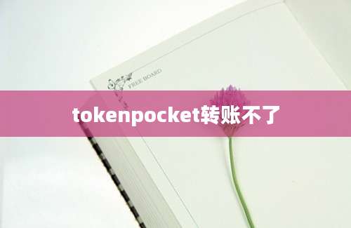 tokenpocket转账不了