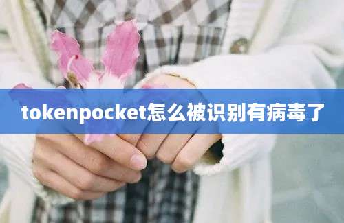 tokenpocket怎么被识别有病毒了