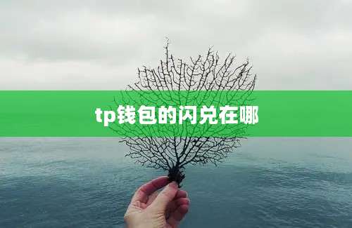 tp钱包的闪兑在哪