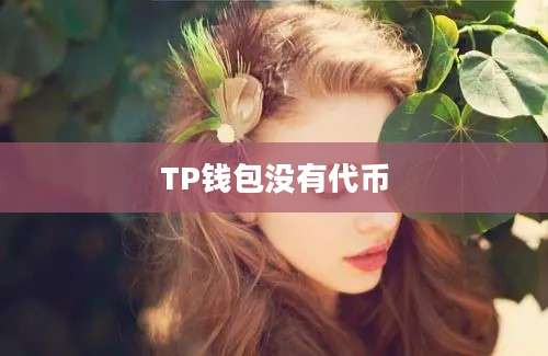 TP钱包没有代币