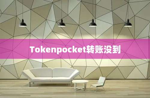 Tokenpocket转账没到