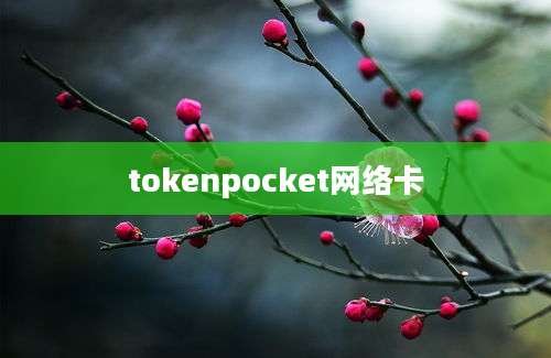 tokenpocket网络卡