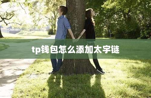 tp钱包怎么添加太宇链