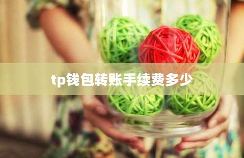 tp钱包转账手续费多少