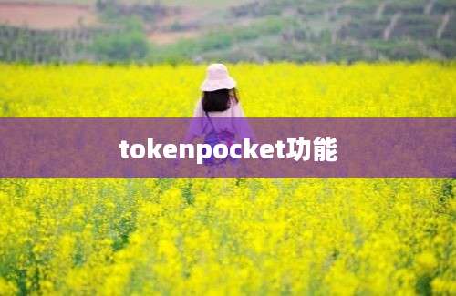 tokenpocket功能