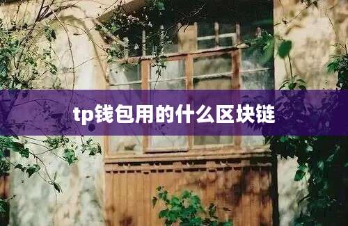 tp钱包用的什么区块链