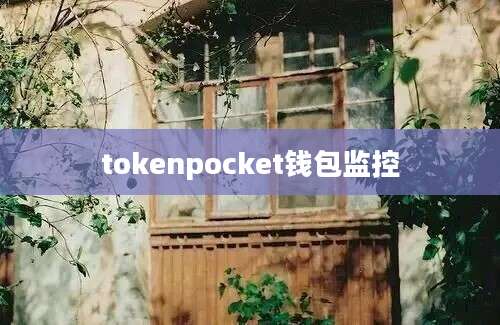 tokenpocket钱包监控