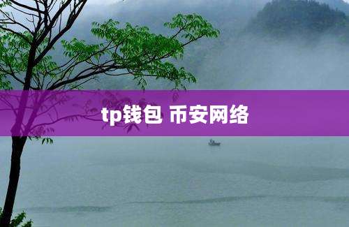 tp钱包 币安网络