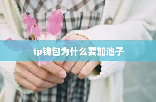 tp钱包为什么要加池子