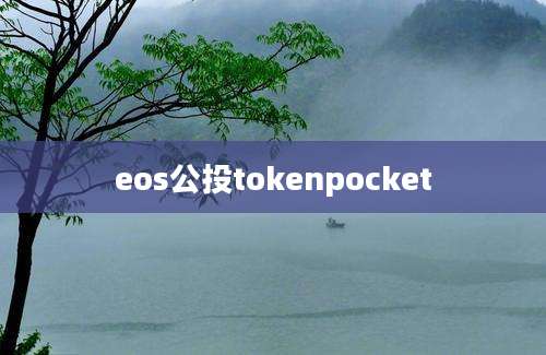 eos公投tokenpocket