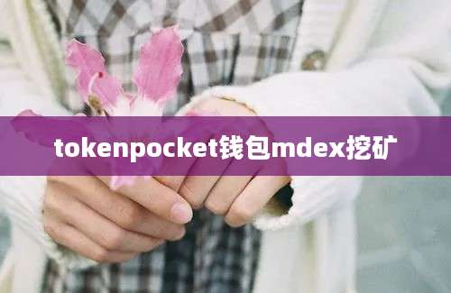 tokenpocket钱包mdex挖矿