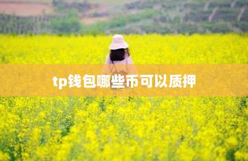 tp钱包哪些币可以质押