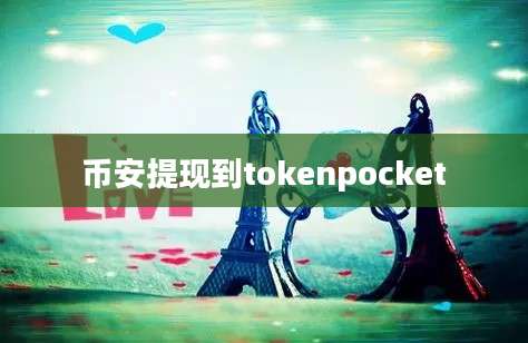 币安提现到tokenpocket